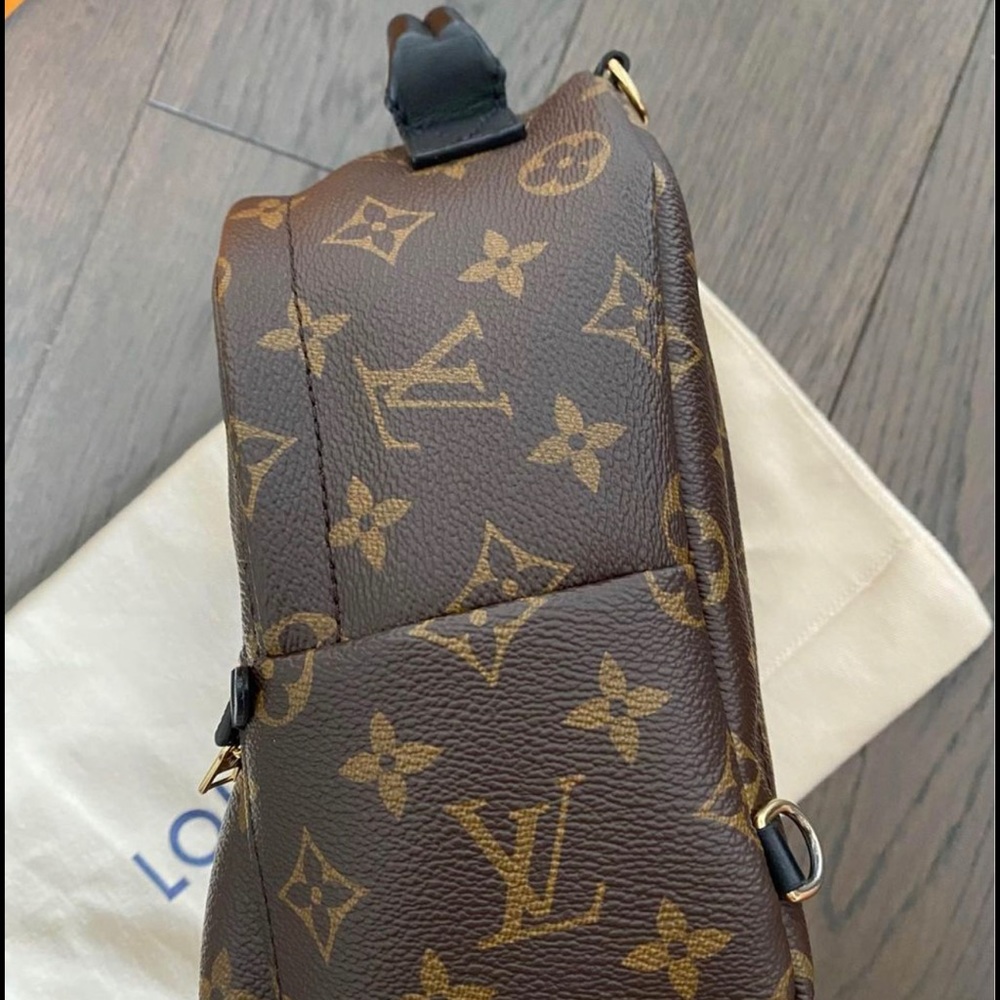 LV Palm Spring Mini Backpack - Picture 7 of 9